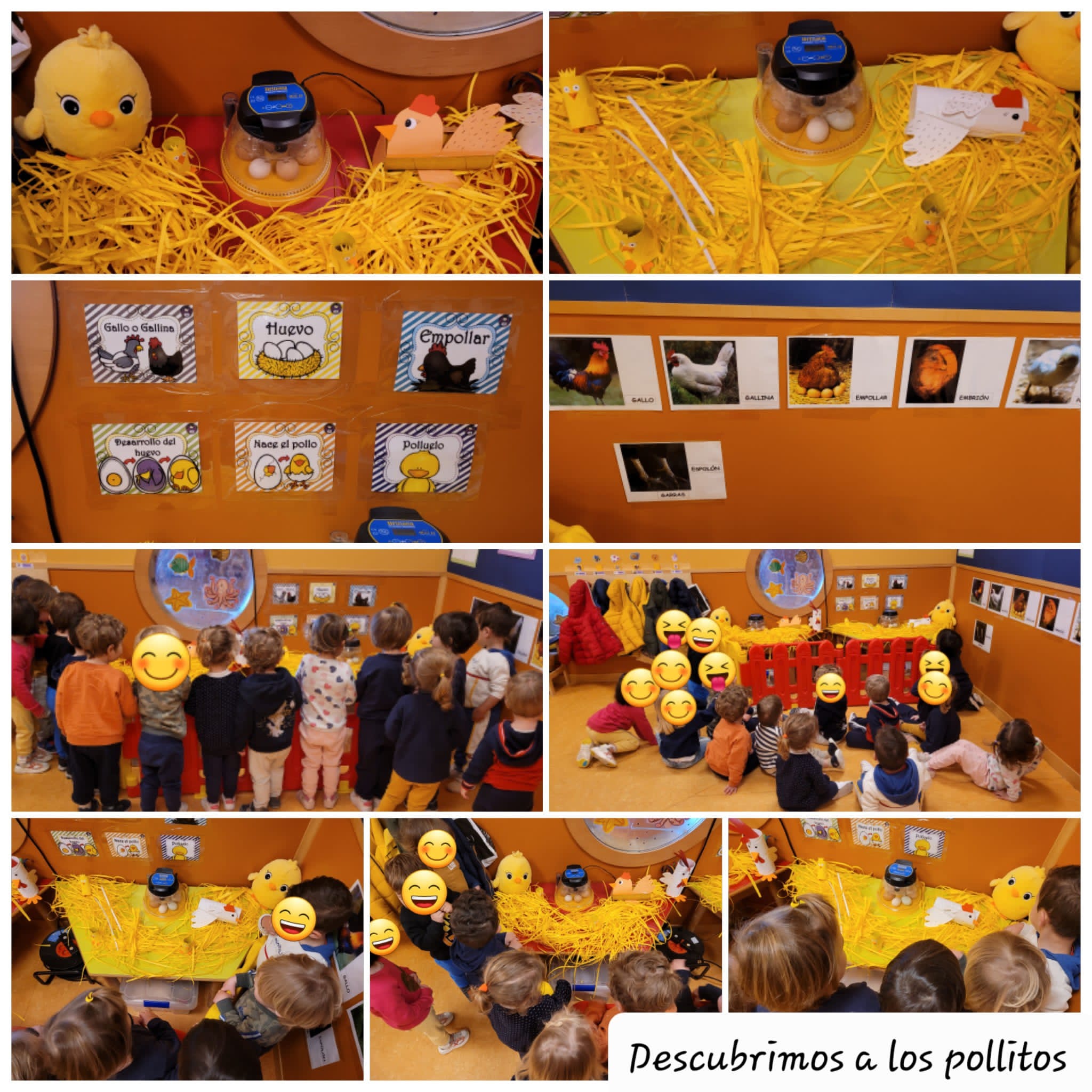 Nuevo proyecto educativo en la E.I. Las Ardillas "Nos visita el Pollo Pepe"